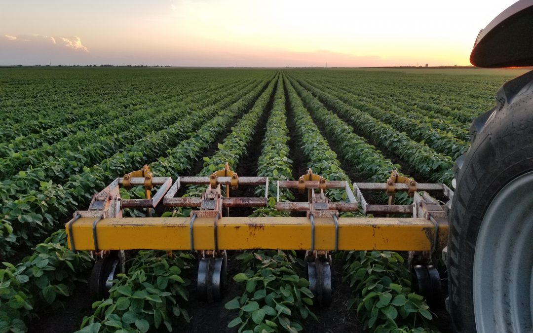 Soil Works crop and soil consulting
